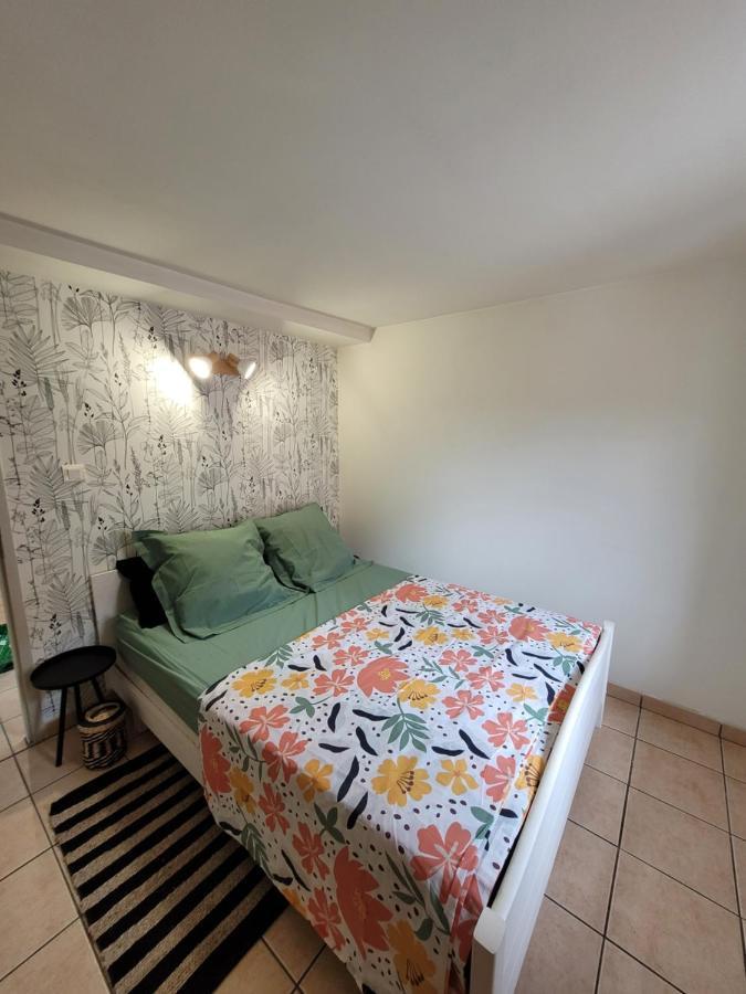 Appartement Cosy En Centre Ville 蒙托邦 外观 照片